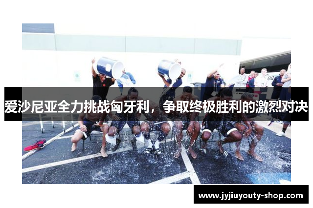 爱沙尼亚全力挑战匈牙利,争取终极胜利的激烈对决