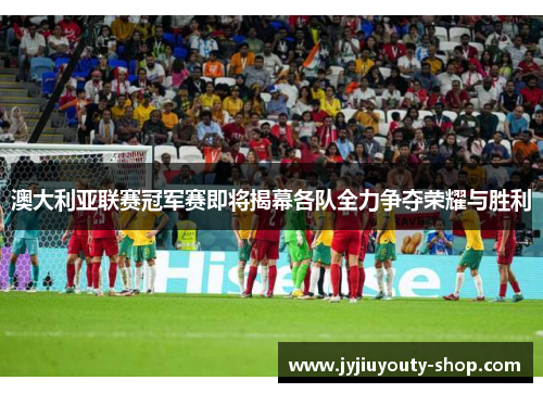 澳大利亚联赛冠军赛即将揭幕各队全力争夺荣耀与胜利
