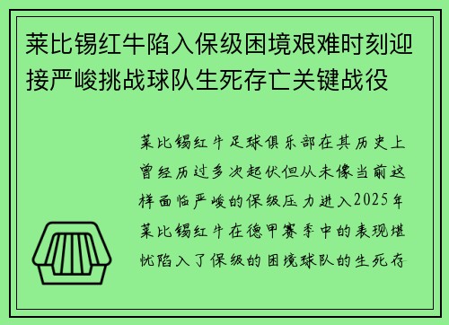 莱比锡红牛陷入保级困境艰难时刻迎接严峻挑战球队生死存亡关键战役